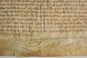 Karvanääpsuaugud.
Karvanääpsuaukude muster degradeerunud pärgamendis.
Dokumenteeritud degradeerunud pärgamendis on karvanääpsuaukude muster nähtav nii verso kui recto poolel.