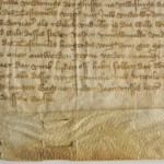 Karvanääpsuaugud.
Karvanääpsuaukude muster degradeerunud pärgamendis.
Dokumenteeritud degradeerunud pärgamendis on karvanääpsuaukude muster nähtav nii verso kui recto poolel.