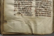 <a href='http://www.ra.ee/pargamendid/index.php/et/parchment/view?id=14994&_xr=eNoti0kOQFAQRO%252FSB%252Fg0gpSVvaULdL42JOZhJe7Ox%252Bq9ekkJGGcHPxNEn2zgGDTLattBx93b1Ck9PQGtWtupUrc4BJVFboLQN2zsEL0RtPxkxxTUy9gc0ryfAKQ7Zdd1A03rIuc%253D' target='_blank'>Ürik TLA230.1.cm4. </a>, 13.saj.</br>
Armkude.
Armistunud haavand, mille pinna tekstuur (värvus, reljeef) erineb oluliselt pärgamendi pinnast
Kaldvalguses dokumenteeritud armkude. Pärgamentlehe erinevatel pooltel on armkude erineva välisilmega.