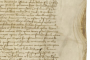 <a href='http://www.ra.ee/pargamendid/index.php/et/parchment/view?id=14649&_xr=eNpLtDK0qs60MrBOtDKBMIqtDM2slAoSi5IzclPzSvSLU0FMJaC4uZVSUWpacn5KKohnaGqlFOLjqGdkbKBnqOupZ2puBha2UiqE0oYg2sJKKScxL700MR2sy8hKKbVEybq2FgB91CL9' target='_blank'>Ürik TLA.230.1-i.576</a>, 1425. a. </br>
Pärgamendilehe suurus.
Suurtel pärgamendilehtedel võivad pärgamendi omadused üle pinna oluliselt erineda. Läbivas valguses dokumenteeritud pärgamendi servas eristuvad jäsemete alad, kus degradeerub pärgament kiiremini. Läbivas valguses on degradeerunud jäsemete alad vähem läbipaistvad.