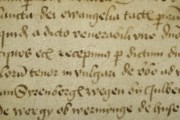 <a href='http://www.ra.ee/pargamendid/index.php/et/parchment/view?id=14431&_xr=eNpLtDK0qs60MrBOtDKBMIqtDM2slAoSi5IzclPzSvSLU0FMJaC4uZVSUWpacn5KKohnaGqlFOLjqGdkbKBnqJupZ2FoCBa2UiqE0mC%252BhZVSTmJeemliOliXkZVSaomSdW0tAIKMIxU%253D'>Ürik TLA.230.1-i.811</a>, 1484. a.</br>
Paksus tulenevalt looma vanusest
Õhuke, läbivas valguses ühtlaselt üle kogu pinna läbipaistev pärgament. See kvaliteedi tunnus on iseloomulik noorlooma nahast valmistatud pärgamendile.
Kahepoolselt lõhestatud, õhuke, noorlooma nahast valmistatud pärgament.
