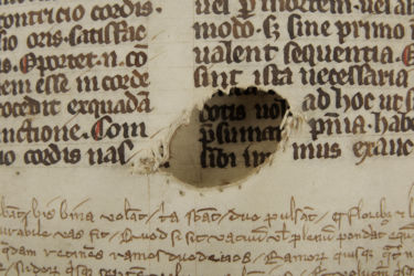 <a href='http://www.ra.ee/pargamendid/index.php/et/parchment/view?id=14994&_xr=eNoti0kOQFAQRO%252FSB%252Fg0gpSVvaULdL42JOZhJe7Ox%252Bq9ekkJGGcHPxNEn2zgGDTLattBx93b1Ck9PQGtWtupUrc4BJVFboLQN2zsEL0RtPxkxxTUy9gc0ryfAKQ7Zdd1A03rIuc%253D' target='_blank'>Ürik TLA.230.1.cm4</a>, 13. saj. </br>
Auk.
Augud võivad tekkida pärgamendi valmistamise kõigis etappides. Lahti rebenenud, algselt kinni nõelutud auk, pärgamendis.