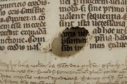 <a href='http://www.ra.ee/pargamendid/index.php/et/parchment/view?id=14994&_xr=eNoti0kOQFAQRO%252FSB%252Fg0gpSVvaULdL42JOZhJe7Ox%252Bq9ekkJGGcHPxNEn2zgGDTLattBx93b1Ck9PQGtWtupUrc4BJVFboLQN2zsEL0RtPxkxxTUy9gc0ryfAKQ7Zdd1A03rIuc%253D' target='_blank'>Ürik TLA.230.1.cm4</a>, 13. saj. </br>
Auk.
Augud võivad tekkida pärgamendi valmistamise kõigis etappides. Lahti rebenenud, algselt kinni nõelutud auk, pärgamendis.