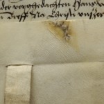 <a href='http://www.ra.ee/pargamendid/index.php/et/parchment/view?id=15288&_xr=eNpLtDK0qs60MrBOtDKBMIqtDM2slAoSi5IzclPzSvSLU0FMJaC4uZVSUWpacn5KqhJUVYiPo56RsYGeoW5mpp6RoQFY3EqpEEobgmgLK6WcxLz00sR0sDYjK6XUEiXr2loAq3AjeA%253D%253D' target='_blank'>Ürik TLA.230.1-ii.210</a>, 1525. a. </br>
Sakilise tera jäljed.
Sakilise servaga kraabitsale iseloomulike jooneliste töötlemisjälgedega pärgamendil on nähtav valmistamise käigus tekkinud ja koheselt kinni nõelutud auk. Pärgamendi paksus on 0,05-0,25mm, kraabitsa jälgede piirkonnas on paksus tunduvalt suurem, 0,4-0,45 mm.