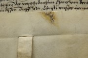 <a href='http://www.ra.ee/pargamendid/index.php/et/parchment/view?id=15288&_xr=eNpLtDK0qs60MrBOtDKBMIqtDM2slAoSi5IzclPzSvSLU0FMJaC4uZVSUWpacn5KqhJUVYiPo56RsYGeoW5mpp6RoQFY3EqpEEobgmgLK6WcxLz00sR0sDYjK6XUEiXr2loAq3AjeA%253D%253D' target='_blank'>Ürik TLA.230.1-ii.210</a>, 1525. a. </br>
Sakilise tera jäljed.
Sakilise servaga kraabitsale iseloomulike jooneliste töötlemisjälgedega pärgamendil on nähtav valmistamise käigus tekkinud ja koheselt kinni nõelutud auk. Pärgamendi paksus on 0,05-0,25mm, kraabitsa jälgede piirkonnas on paksus tunduvalt suurem, 0,4-0,45 mm.