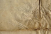 Ürik TLA.230.1.BB_74/iii.111 </br>
Kraapimise jäljed.
Kraabitsa jäljed (vaod, vöödid) pinnal kaldvalguses.