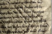 Ürik TLA.230.1.BB_40/vi.72</br>
Kraapimise jäljed.
Kõvera teraga kraabitsa jäljed (vaod, vöödid) tugevalt degradeerunud pärgamendi pinnal.