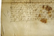 Ürik TLA.230.1.BD_1/iii.17 </br>
Kraapimise jäljed.
Kõvera teraga kraabitsa jäljed (vaod,vöödid) pinnal on dokumenteeritud läbivas valguses.