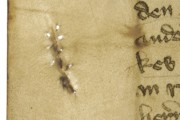 <a href='http://www.ra.ee/pargamendid/index.php/et/parchment/view?id=15140&_xr=eNpLtDK0qs60MrBOtDKBMIqtDM2slAoSi5IzclPzSvSLU0FMJaC4uZVSUWpacn5KKohnaGqlFOLjqGdkbKBnqJupZ2pmARa2UiqE0oYg2sJKKScxL700MR2sy8hKKbVEybq2FgCEICMe' target='_blank'>Ürik TLA.230.1-i.568</a>, 1423. a. </br>
Kraapimise jäljed.
Naha õhendamisel kasutatud kraabits on tekitanud pärgamendis lõhe, mis on töötlemisel koheselt kinni nõelutud. Kahjustus on dokumenteeritud läbivas valguses.