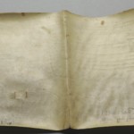 <a href='http://www.ra.ee/pargamendid/index.php/et/parchment/view?id=16488&_xr=eNoti0sOQEAQBe%252FSBxjaP8%252FKARyiQ%252Fsk%252FsNK3J3BqupV8gSMs4efC6JPLDgBLbJV3ajT7ll1Sk9PQZs21VyrW8ygojTMsQkNp28CrT%252FZMQMNMrWHtO8jAOlO%252BXXd9uQh%252Bg%253D%253D' target='_blank'>Ürik AM.115.3.17</a>, 1749. a. </br>
Jäik.
Pärgamendil on hästi näha lehe deformatsioon, pärgamendi kokkutõmbumine, mille üheks põhustajaks võivad olla veresoontesse jäänud verejäägid (veres sisalduvad rauasoolad). Verejääkide toimel on pärgament degradeerunud ja muutunud jäigaks.