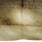 <a href='http://www.ra.ee/pargamendid/index.php/et/parchment/view?id=16719&_xr=eNoti8kNgDAMBHtxAQEjLi0vCqAIK5hDgnC%252FEL0DgdfOjLQCxtkjLATxBxs4Bc2y2m5UtwebvkhPz0CrNnaq9TUOQWVlmBMTGfYFtPzrPQcN4tpDWn%252BIQLpTcV0314ghwQ%253D%253D' targer='_blank'>Ürik AM.115.2.1</a>, 1647. a. </br>
Rooste. Rebaseplekk e. foksing
Rebaseplekid läbivas valguses. Plekid on väikese läbimõõduga, sageli kogumitena esinevad, punakaspruunid plekid, mille tekkepõhjuseks peetakse metalliühendite, bioloogiliste mõjutuste ja loomse pigmendi, melanin, koosmõju.
<br>