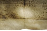 <a href='http://www.ra.ee/pargamendid/index.php/et/parchment/view?id=16719&_xr=eNoti8kNgDAMBHtxAQEjLi0vCqAIK5hDgnC%252FEL0DgdfOjLQCxtkjLATxBxs4Bc2y2m5UtwebvkhPz0CrNnaq9TUOQWVlmBMTGfYFtPzrPQcN4tpDWn%252BIQLpTcV0314ghwQ%253D%253D' targer='_blank'>Ürik AM.115.2.1</a>, 1647. a. </br>
Rooste. Rebaseplekk e. foksing
Rebaseplekid läbivas valguses. Plekid on väikese läbimõõduga, sageli kogumitena esinevad, punakaspruunid plekid, mille tekkepõhjuseks peetakse metalliühendite, bioloogiliste mõjutuste ja loomse pigmendi, melanin, koosmõju.
<br>