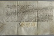 <a href='http://www.ra.ee/pargamendid/index.php/et/parchment/view?id=14604&_xr=eNoti0sOgkAQRO%252FSBxho8JdiJYkLEpfuTQdbnEQHZZqV4e46o6t6qVclYLw9ykaw%252FkEEb0BPmfrbQ4MVURNS6hnkQzRvs%252FkxpKoGnY77RFvQpNd%252BvGie7rJwVV06du3hzKui67IBvf7JKb%252FDu4RhliEfK5AaNcvyAedvLQE%253D' target='_blank'>Ürik TLA.230.1.be_14/ii</a>, 1561.a.</br>
Paksuse kõikumine.
Paksuse suur ebaühtlus üle pärgamendi pinna võib põhjustada ajaloolistel pärgamentidel deformatsiooni. Deformatsioon pärgamendi servades on dokumenteeritud kaldvalguses.