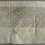 <a href='http://www.ra.ee/pargamendid/index.php/et/parchment/view?id=14604&_xr=eNoti0sOgkAQRO%252FSBxho8JdiJYkLEpfuTQdbnEQHZZqV4e46o6t6qVclYLw9ykaw%252FkEEb0BPmfrbQ4MVURNS6hnkQzRvs%252FkxpKoGnY77RFvQpNd%252BvGie7rJwVV06du3hzKui67IBvf7JKb%252FDu4RhliEfK5AaNcvyAedvLQE%253D' target='_blank' rel='noopener noreferrer'>Ürik TLA.230.1.be_14/ii</a>, 1561.a.</br>
Paksuse kõikumine.
Paksuse suur ebaühtlus üle pärgamendi pinna võib põhjustada ajaloolistel pärgamentidel deformatsiooni. Deformatsioon pärgamendi servades on dokumenteeritud kaldvalguses.