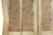 <a href='http://www.ra.ee/pargamendid/index.php/et/parchment/view?id=16418&_xr=eNpLtDK0qs60MrBOtDKBMIqtDM2slAoSi5IzclPzSvSLU0FMJaC4uZVSUWpacn5KKohnaGKlFOLjqGdkbKBnqJeca2gAFrVSKoTShiDawkopJzEvvTQxHazJyEoptUTJurYWAGx7IxU%253D'>Ürik TLA.230.1.cm10</a>, 1433. a. </br>
Lõhestatud nahk.
Kahepoolselt lõhestatud, õhuke pärgament ilma töötlemise jälgedeta. Läbivas valguses on hästi nähtav lõhestamisel saavutatud pärgamendi ühtlane paksus üle kogu pinna.