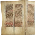 <a href='http://www.ra.ee/pargamendid/index.php/et/parchment/view?id=16418&_xr=eNpLtDK0qs60MrBOtDKBMIqtDM2slAoSi5IzclPzSvSLU0FMJaC4uZVSUWpacn5KKohnaGKlFOLjqGdkbKBnqJeca2gAFrVSKoTShiDawkopJzEvvTQxHazJyEoptUTJurYWAGx7IxU%253D'>Ürik TLA.230.1.cm10</a>, 1433. a. </br>
Lõhestatud nahk.
Kahepoolselt lõhestatud, õhuke pärgament ilma töötlemise jälgedeta. Läbivas valguses on hästi nähtav lõhestamisel saavutatud pärgamendi ühtlane paksus üle kogu pinna.