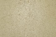 <a href='http://www.ra.ee/pargamendid/index.php/et/parchment/view?id=14431&_xr=eNpLtDK0qs60MrBOtDKBMIqtDM2slAoSi5IzclPzSvSLU0FMJaC4uZVSUWpacn5KKohnaGqlFOLjqGdkbKBnqJupZ2FoCBa2UiqE0mC%252BhZVSTmJeemliOliXkZVSaomSdW0tAIKMIxU%253D'>Ürik TLA.230.1-i.811</a>, 1484. a. </ br>
Lõhestatud nahk.
Kahepoolselt lõhestatud, õhuke pärgament, millel puuduvad pärgamendi mehaanilise töötlemise jäljed.
Läbivas valguses on hästi nähtavad pärgamenti läbivad karvanääpsuaugud.