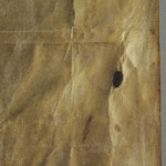 <a href='http://www.ra.ee/pargamendid/index.php/et/parchment/view?id=14149&_xr=eNpLtDK0qs60MrBOtDKBMIqtDM2slAoSi5IzclPzSvSLU0FMJaC4uZVSUWpacn5KKohnaGqlFOLjqGdkbKBnqJupZ2phDha2UiqE0oYg2sJKKScxL700MR2sy8hKKbVEybq2FgCETyMf' target='_blank' rel='noopener noreferrer'>Ürik TLA230.1-i.587</a>, 1428. a. </ br>
Pindmine kiht.
Epidermise kihi täielik või osaline olemasolu
Eemaldamata pindmine kiht pärgamendi verso poolel.