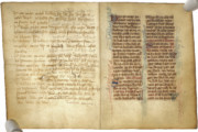 <a href='http://www.ra.ee/pargamendid/index.php/et/parchment/view?id=16418&_xr=eNpLtDK0qs60MrBOtDKBMIqtDM2slAoSi5IzclPzSvSLU0FMJaC4uZVSUWpacn5KKohnaGKlFOLjqGdkbKBnqJeca2gAFrVSKoTShiDawkopJzEvvTQxHazJyEoptUTJurYWAGx7IxU%253D'>Ürik TLA.230.1.cm10</a>, 1433. a. </br>
Torkeauk
Torkeaugud köitmiseks, teksti märgistamiseks ja kirjutusraamile kinnitamiseks on dokumenteeritud läbivas valguses.