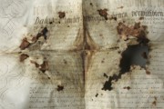 <a href='http://www.ra.ee/pargamendid/index.php/et/parchment/view?id=15925&_xr=eNoti0sOQEAQBe%252FSBxhaxifPygEcokP7JP7GStydwarqVfIEjLNHmAvsJzs4AS2yVd2okwt29UpPT0GbNtVcq1%252FMoKI0HFoTG7ZvAq0%252F2TMDDTK1h7TvIwKpo%252Fy6bvZYIfc%253D' target='_blank'>Ürik AM.104.5.14</a>, 18. saj.</br>
Köitmata pärgament.
Sirutatud jäiga pärgamentdokumendi kahjustumine.
Kokkuvolditud dokumentide välispinnad olid kõige enam määrdunud ja kahjustunud võrreldes ülejäänud pärgamendiga.