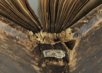 <a href='http://www.ra.ee/pargamendid/index.php/et/parchment/view?id=16980&_xr=eNoti0kOQFAQRO%252FSB%252Fg0gpSVvaULdL42JOZhJe7Ox%252Bq9ekkJGGcHPxNEn2zgGDTLattBx93b1Ck9PQGtWtupUrc4BJVFboLQN2zskL4RtPxkxxTUy9gc0ryfAKQ7Zdd1A06fIus%253D' target='_blank'>Ürik TLA.230.1.cm8</a>, 14.saj. </ br>