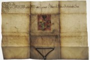 <a href='http://www.ra.ee/pargamendid/index.php/et/parchment/view?id=17396&_xr=eNoti0sOQEAQBe%252FSBxjaP8%252FKARyiQ%252Fsk%252FsNK3J3BqupV8gSMs4efC6JPLDgBLbJV3ajT7ll1Sk9PQZs21VyrWxyAitIwxSei' target='_blank'>Ürik AM.115.1.233</a>, 1651. a. </ br>
Eelneva parandamise või konserveerimise tulemusena kahjustunud pärgament.
Eelnev praktiline konserveerimine on pärgamendi seisundit halvendanud. Illustratsiooni piirkonnas on pärgament degradeerunud ja zelatiinustumine on muutnud pärgamendi jäigaks. selles piirkonnas on oluliselt vähenenud pärgamendi painduvus ja läbipaistvus. Dokumenteeritud läbivas valguses.