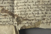 <a href='http://www.ra.ee/pargamendid/index.php/et/parchment/view?id=14196&_xr=eNpLtDK0qs60MrBOtDKBMIqtDM2slAoSi5IzclPzSvSLU0FMJaC4uZVSUWpacn5KKohnaGqlFOLjqGdkbKBnqJupZ2FiDha2UiqE0oYg2sJKKScxL700MR2sy8hKKbVEybq2FgCEJCMe' target='_blank'>Ürik TLA.230.1-i.847</a>, 1495. a. </ br>
Eelneva parandamise või konserveerimise tulemusena kahjustatud pärgament.
Paranduskohtades on kasutatud liimainet mis on üriku seisundit halvendanud. Nendes kohtades on pärgament degradeerunud.