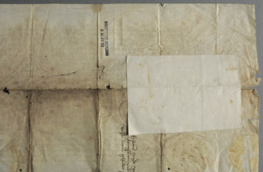 <a href='http://www.ra.ee/pargamendid/index.php/et/parchment/view?id=14980&_xr=eNpLtDK0qs60MrBOtDKBMIqtDM2slAoSi5IzclPzSvSLU0FMJaC4uZVSUWpacn5KKohnaGmlFOLjqGdkbKBnqJeUGm9oop%252BZmQmWslIqhNKGINrCSiknMS%252B9NDEdrNPISim1RMm6thYAMcAk3g%253D%253D' target='_blank'>Ürik TLA.230.1.be_14/iii</a>, 1381. a. </ br>
Eelneva parandamise või konserveerimise tunnustega pärgament.