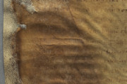 <a href='http://www.ra.ee/pargamendid/index.php/et/parchment/view?id=14272&_xr=eNotjM0OgjAQhN9lH6B0AX8ynDTx0MSj8WoarNhEi9DlZHh3s%252BBpvpnJjAfjG2Ebj80KGbwFffzYPt8hSZGDImnOoJiyRJkk9kmjCnQ5H5R2oDE82v4e1JV2KUxZWcPmeLpxXVydc8sNaPgrq%252B5BL5%252B6yXfrFBSEmnn%252BAUMbLZk%253D' target='_blank'>Ürik TLA.230.1.BE_14/viii</a>, 1503. a. </ br>
Eelneva parandamise või konserveerimise tunnustega pärgament.
Parandamiseks kasutatud uus pärgament on liimitud tugevalt degradeerunud ürikule toeks.