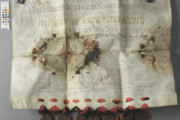 <a href='http://www.ra.ee/pargamendid/index.php/et/parchment/view?id=15925&_xr=eNoti0sOQEAQBe%252FSBxhaxifPygEcokP7JP7GStydwarqVfIEjLNHmAvsJzs4AS2yVd2okwt29UpPT0GbNtVcq1%252FMoKI0HFoTG7ZvAq0%252F2TMDDTK1h7TvIwKpo%252Fy6bvZYIfc%253D' target='_blank'>Ürik AM.104.5.14</a>, 18. saj.</br>
Klaasjas ala
Üle pinna klaasja alaga, degradeerunud pärgament.
Klaasjad alad koos väljasadenenud kaltsiidi või kipsi valge sademega on muutnud pärgamendi jäigaks.