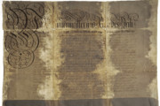 <a href='http://www.ra.ee/pargamendid/index.php/et/parchment/view?id=14451&_xr=eNoti7kNgDAQBHu5AgzmsdESEVDICQ6DxP9EiN7BQDSzIy1D4%252BwQ5ozkkw3agGZeq3aQcQ828UpPt6BVmmqqxS8dg8qiUFmaKKtMat8IWn5qzwzU8%252BgOdu8nAslO%252BXXdOfgifQ%253D%253D' target='_blank'>Ürik EAA.854.7.657</a>, 1745. a. </br>
Klaasjas ala.
Üle pinna klaasja alaga, degradeerunud pärgament on dokumenteeritud läbivas valguses.
Klaasjad alad murdejoonte piirkonnas on muutnud pärgamendi läbipaistvaks.