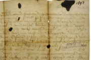 <a href='http://www.ra.ee/pargamendid/index.php/et/parchment/view?id=14140&_xr=eNpLtDK0qs60MrBOtDKBMIqtDM2slAoSi5IzclPzSvSLU0FMJaC4uZVSUWpacn5KKohnaGmlFOLjqGdkbKBnqOfkFG9qpF9RlgmWslIqhNKGINrCSiknMS%252B9NDEdrNPISim1RMm6thYAKYEkuQ%253D%253D' target='_blank'>Ürik TLA.230.1.BB_52/xvi</a>1484. a. <br>
Tindiplekk.
Tindiplekid on dokumenteeritud läbivas valguses.
Lokaalsed tindiplekid ei ole pärgamenti korrodeerinud, lõhkunud.