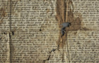<a href='http://www.ra.ee/pargamendid/index.php/et/parchment/view?id=14604&_xr=eNpLtDK0qs60MrBOtDKBMIqtDM2slAoSi5IzclPzSvSLU0FMJaC4uZVSUWpacn5KKohnaGGlFOLjqGdkbKBnqOfkGm9oou%252FpCZaxUiqE0oYgGqgwJzEvvTQxHazRyEoptUTJurYWAO7AI%252FQ%253D' target='_blank'>Ürik TLA.230.1.be_14/ii</a>, 1402. a. </br>
Tindikorrosioon.
Tindi ja pärgamendi kahjustumine tindis sisalduvate metalliühendite toimel.