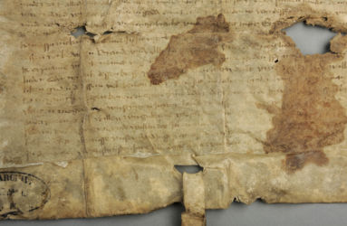 <a href='http://www.ra.ee/pargamendid/index.php/et/parchment/view?id=15018&_xr=eNpLtDK0qs60MrBOtDKBMIqtDM2slAoSi5IzclPzSvSLU0FMJaC4uZVSUWpacn5KKohnaGqlFOLjqGdkbKBnqJuZqWdhBBa2UiqE0oYg2sJKKScxL700MR2sy8hKKbVEybq2FgCNNSNO' target='_blank'>Ürik TLA.230.1-ii.82</a>, 1466. a. </ br>
Tindikadu. Luitumine, valastumine.
Esineb kahjustumise põhjuseid, mille puhul tindikadu ja valastumine võivad esineda koos.
Tindikirja valastumine tugevalt degradeerunud ja üleni klaasjate aladega ja plekkidega kaetud ürikul.