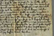 <a href='http://www.ra.ee/pargamendid/index.php/et/parchment/view?id=14161&_xr=eNpLtDK0qs60MrBOtDKBMIqtDM2slAoSi5IzclPzSvSLU0FMJaC4uZVSUWpacn5KKohnCOSG%252BDjqGRkb6BnqObnEm%252Bp7JoIlrJQKobQhiLawUspJzEsvTUwH6zOyUkotUbKurQUA0wEj2g%253D%253D' target='_blank'>Ürik TLA.230.1.bd_5/ia</a>, 1412. a. </ br>
Äratõmme.
Meediumi ülekandumine vastaspinnale kokkuvolditud dokumendis.