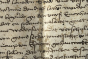 <a href='http://www.ra.ee/pargamendid/index.php/et/parchment/view?id=14363&_xr=eNpLtDK0qs60MrBOtDKBMIqtDM2slAoSi5IzclPzSvSLU0FMJaC4uZVSUWpacn5KKohnaGqlFOLjqGdkbKBnqJupZ2FoAha2UiqE0oYg2sJKKScxL700MR2sy8hKKbVEybq2FgCDEyMY' target='_blank'>Ürik TLA.230.1-i.814</a>, 1485. a. </ br>
Helvestumine. Irdumine.
Pärgamendi ja/või tindikirja kihiti eraldumine, kestendamine.