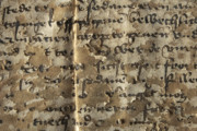 <a href='http://www.ra.ee/pargamendid/index.php/et/parchment/view?id=16279&_xr=eNotizkOgDAMBP%252FinkACImip6Cn5gAUGInEfFeLvnNWMRrsMjcMhSBnRJyt0DJp4Kdtehs1f5VG6uwUtUpdjJfSvijxTJgyU9pxTxtq3g%252Baf%252BmEC6nhodm7emwHJRul5Xq2%252FI4U%253D' target='_blank'>Ürik TLA.230.1-ii.277</a>, 1493. a. </ br>
Helvestumine. Irdumine.
Pärgamendi ja/või tindikirja kihiti eraldumine, kestendamine.
Tindikirja irdumise sagedaseks põhjuseks on pärgamendipinna kihiti mahakoorumine.