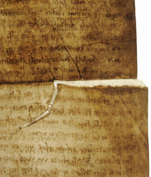 <a href='http://www.ra.ee/pargamendid/index.php/et/parchment/view?id=14272&_xr=eNotjM0OgjAQhN9lH6B0AX8ynDTx0MSj8WoarNhEi9DlZHh3s%252BBpvpnJjAfjG2Ebj80KGbwFffzYPt8hSZGDImnOoJiyRJkk9kmjCnQ5H5R2oDE82v4e1JV2KUxZWcPmeLpxXVydc8sNaPgrq%252B5BL5%252B6yXfrFBSEmnn%252BAUMbLZk%253D' target='_blank'>Ürik TLA.230.1.BE_14/viii</a>, 1503. a. </ br>
Rebend, lõhe.
Pärgamendi lõhestumine ilma materjali kaota. Dokumenteeritud läbivas valguses.
Rebend on toestatud uue pärgamendiga.