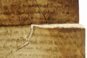 <a href='http://www.ra.ee/pargamendid/index.php/et/parchment/view?id=14272&_xr=eNotjM0OgjAQhN9lH6B0AX8ynDTx0MSj8WoarNhEi9DlZHh3s%252BBpvpnJjAfjG2Ebj80KGbwFffzYPt8hSZGDImnOoJiyRJkk9kmjCnQ5H5R2oDE82v4e1JV2KUxZWcPmeLpxXVydc8sNaPgrq%252B5BL5%252B6yXfrFBSEmnn%252BAUMbLZk%253D' target='_blank'>Ürik TLA.230.1.BE_14/viii</a>, 1503. a. </ br>
Rebend, lõhe.
Pärgamendi lõhestumine ilma materjali kaota. Dokumenteeritud läbivas valguses.
Rebend on toestatud uue pärgamendiga.