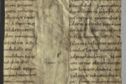<a href='http://www.ra.ee/pargamendid/index.php/et/parchment/view?id=15139&_xr=eNpLtDK0qs60MrBOtDKBMIqtDM2slAoSi5IzclPzSvSLU0FMJaC4uZVSUWpacn5KKohnCOSG%252BDjqGRkb6BnqOfnHG1roJ4ElrJQKobQhiLawUspJzEsvTUwH6zOyUkotUbKurQUA0Y8j0Q%253D%253D' target='_blank'>Ürik TLA.230.1.bo_18/b</a> 10. saj. </ br>
Pinna lainelisus. Lokkimine.
Pinna ebatasasus, mis sirgeneb kerge vajutise all.
Kvaliteetne, kahelt poolt lõhestatud pärgament on hästi säilinud. Pinna kerge lokkimine esineb ühtlaselt üle pinna. Dokumenteeritud kaldvalguses.