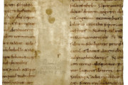 <a href='http://www.ra.ee/pargamendid/index.php/et/parchment/view?id=15139&_xr=eNpLtDK0qs60MrBOtDKBMIqtDM2slAoSi5IzclPzSvSLU0FMJaC4uZVSUWpacn5KKohnCOSG%252BDjqGRkb6BnqOfnHG1roJ4ElrJQKobQhiLawUspJzEsvTUwH6zOyUkotUbKurQUA0Y8j0Q%253D%253D' target='_blank'>Ürik TLA.230.1.bo_18/b</a> 10. saj. </ br>
Pinna lainelisus. Lokkimine.
Pinna ebatasasus, mis sirgeneb kerge vajutise all. Dokumenteeritud läbivas valguses.