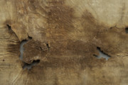 <a href='http://www.ra.ee/pargamendid/index.php/et/parchment/view?id=15136&_xr=eNoti0kOQFAQRO%252FSB%252Fi04FNWFg7SoQ2JeViJu%252FOxeq9eUgLG2cHPBOEnGzgGzbKW7aDj7m3qlJ5uQavW5VSpW8ygIs9NGlnDxr4JtPxkxwTUy9gc0ryPAKQ7Zdd1A%252FrvIg4%253D' target='_blank'>Ürik EAA.957.1</a>, 1553. a. </ br>
Kokkutõmbumine.
Õhukese pärgamendi mahuline kahanemine pärgamendi degradeerumise tulemusena.
Pärgamendi mahulise kahanemise ja kokkutõmbumise tulemusena on tekkinud materjali sisekaod.