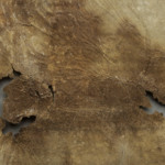 <a href='http://www.ra.ee/pargamendid/index.php/et/parchment/view?id=15136&_xr=eNoti0kOQFAQRO%252FSB%252Fi04FNWFg7SoQ2JeViJu%252FOxeq9eUgLG2cHPBOEnGzgGzbKW7aDj7m3qlJ5uQavW5VSpW8ygIs9NGlnDxr4JtPxkxwTUy9gc0ryPAKQ7Zdd1A%252FrvIg4%253D' target='_blank'>Ürik EAA.957.1</a>, 1553. a. </ br>
Kokkutõmbumine.
Õhukese pärgamendi mahuline kahanemine pärgamendi degradeerumise tulemusena.
Pärgamendi mahulise kahanemise ja kokkutõmbumise tulemusena on tekkinud materjali sisekaod.