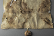 <a href='http://www.ra.ee/pargamendid/index.php/et/parchment/view?id=15136&_xr=eNoti0kOQFAQRO%252FSB%252Fi04FNWFg7SoQ2JeViJu%252FOxeq9eUgLG2cHPBOEnGzgGzbKW7aDj7m3qlJ5uQavW5VSpW8ygIs9NGlnDxr4JtPxkxwTUy9gc0ryPAKQ7Zdd1A%252FrvIg4%253D' target='_blank'>Ürik EAA.957.1</a>, 1553. a. </ br>
Kokkutõmbumine.
Õhukese pärgamendi mahuline kahanemine pärgamendi degradeerumise tulemusena.