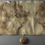 <a href='http://www.ra.ee/pargamendid/index.php/et/parchment/view?id=15136&_xr=eNoti0kOQFAQRO%252FSB%252Fi04FNWFg7SoQ2JeViJu%252FOxeq9eUgLG2cHPBOEnGzgGzbKW7aDj7m3qlJ5uQavW5VSpW8ygIs9NGlnDxr4JtPxkxwTUy9gc0ryPAKQ7Zdd1A%252FrvIg4%253D' target='_blank'>Ürik EAA.957.1</a>, 1553. a. </ br>
Kokkutõmbumine.
Õhukese pärgamendi mahuline kahanemine pärgamendi degradeerumise tulemusena.