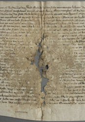 <a href='http://www.ra.ee/pargamendid/index.php/et/parchment/view?id=15967&_xr=eNpLtDK0qs60MrBOtDKBMIqtDM2slAoSi5IzclPzSvSLU0FMJaC4uZVSUWpacn5KKohnCOSG%252BDjqGRkb6BnqOTnFm5voZ4IlrJQKobQhiLawUspJzEsvTUwH6zOyUkotUbKurQUA0KQjzQ%253D%253D' target='_blank'>Ürik TLA.230.1.BB_74/i</a>, 1480. a. </ br>
Rabe, habras.
Pärgamendi füüsilise tugevuse vähenemise tulemusena on pärgament raskesti käsitletav
Materjali irdumine ja sisemine kadu on muutnud pärgamendi hapraks.