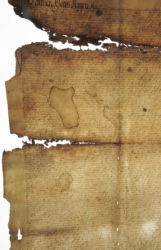 <a href='http://www.ra.ee/pargamendid/index.php/et/parchment/view?id=14203&_xr=eNpLtDK0qs60MrBOtDKBMIqtDM2slAoSi5IzclPzSvSLU0FMJaC4uZVSUWpacn5KKohnaGKlFOLjqGdkbKBnqOfkE28CFrVSKoTShiDawkopJzEvvTQxHazJyEoptUTJurYWAGk0IwU%253D' target='_blank'>Ürik TLA.230.1.BL_4</a>, 1552. a. </ br>
Äärekadu. Pärgamentlehe äärtel olev materjali kadu.
Suured materjali kaoga piirkonnad hapraks muutunud üriku servades.