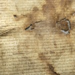 <a href='http://www.ra.ee/pargamendid/index.php/et/parchment/view?id=15136&_xr=eNoti0kOQFAQRO%252FSB%252Fi04FNWFg7SoQ2JeViJu%252FOxeq9eUgLG2cHPBOEnGzgGzbKW7aDj7m3qlJ5uQavW5VSpW8ygIs9NGlnDxr4JtPxkxwTUy9gc0ryPAKQ7Zdd1A%252FrvIg4%253D' target='_blank'>Ürik EAA.957.1</a>, 1553. a. </ br>
Kirme. Sade.
Tugevalt degradeerunud ala pärgamendis, millega kaasnevad deformatsioon, materjali kokkutõmbumine ja valkja hallika sademena kaltsiidi väljasadenemine degradeerunud pärgamendi pinnal.