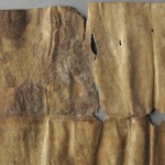 <a href='http://www.ra.ee/pargamendid/index.php/et/parchment/view?id=14809&_xr=eNpLtDK0qs60MrBOtDKBMIqtDM2slAoSi5IzclPzSvSLU0FMJaC4uZVSUWpacn5KKohnaGqlFOLjqGdkbKBnqJupZ25oBBa2UiqE0oYg2sJKKScxL700MR2sy8hKKbVEybq2FgCCiiMV' target='_blank'>Ürik TLA.230.1-i.712</a>, 1465. a.</ br>
Kirme. Sade.
Valkja hallika sademena väljasadenenud kaltsiid degradeerunud pärgamendi pinnal.
Pindmise kihi olemasolu üriku tagumisel poolel kiirendab pärgamendi degradeerumist. Tugeva degradeerumise tulemusena sadeneb pärgamendi pinnalähedasest alast pinnale kaltsiid, mis on nähtav pinnal valge sademena.