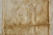 Ürik TLA.230.1.BB_74/iii
Bioloogilised kahjustused. Hallitanud. Näritud pind.
Dokumendi tagumise poole kahjustus on dokumenteeritud kaldvalguses. Lokaalsed bioloogilised kahjustused on muutnud pärgamendi õhemaks ja auklikuks.